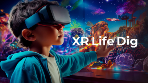 XR Life Dig